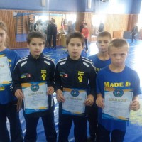 Чемпіонат Київської Області з вільної боротьби